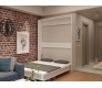 Eco Platform Queen Murphy Bed