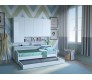 Twin XL Mattress Cover and 2 PC Cushion Set